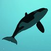 Игра · Killer Whale: Симулятор косатки